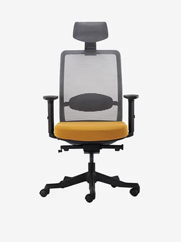 Ghế công thái học ANTO